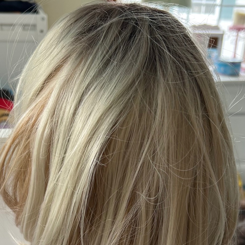 Elegant Light Blonde Hair Wig